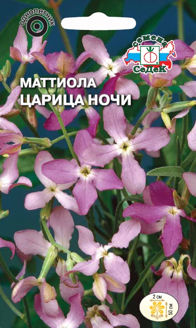 Семена цветов - Маттиола Царица Ночи 0,3 г - 2 пакета