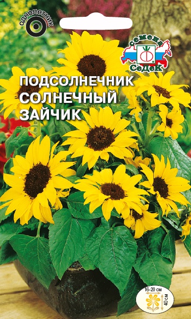 Семена цветов - Подсолнечник Солнечный Зайчик 1 г - 2 пакета