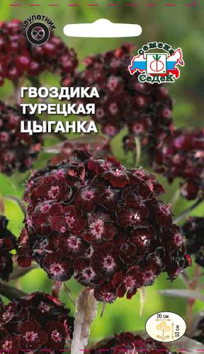 Семена цветов - Гвоздика Цыганка  0,3 г - 2 пакета