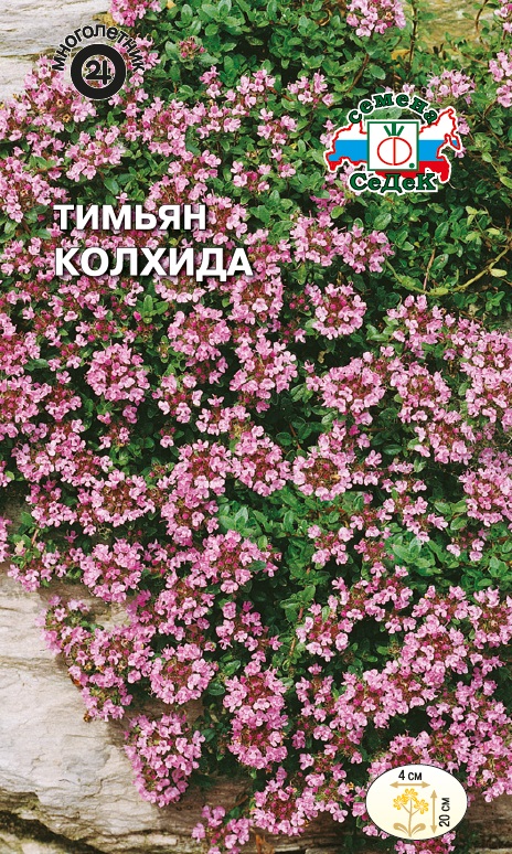 Семена цветов - Тимьян Колхида (чабрец) 0,05 г - 2 пакета