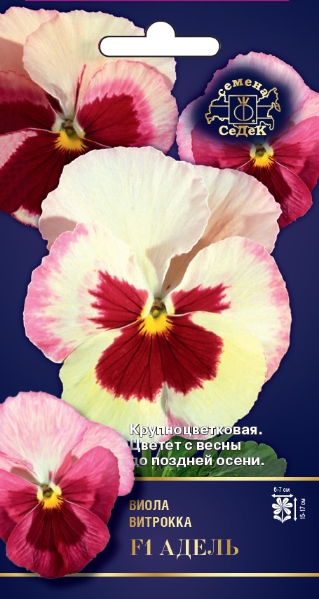 Семена цветов - Виола Адель F1  5 шт - 2 пакета