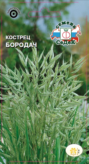 Семена цветов - Кострец Бородач 0,2 г - 2 пакета