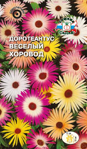 Семена цветов - Доротеантус Весёлый Хоровод 0,2 г - 2 пакета