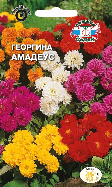 Семена цветов - Георгина Амадеус (смесь цветов) 0,15 г - 2 пакета