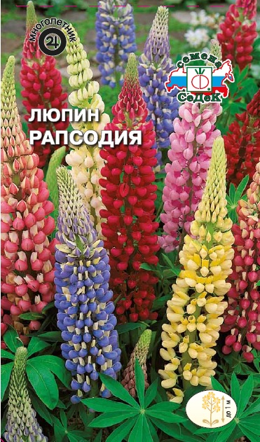Семена цветов - Люпин Рапсодия 0,5 г - 2 пакета