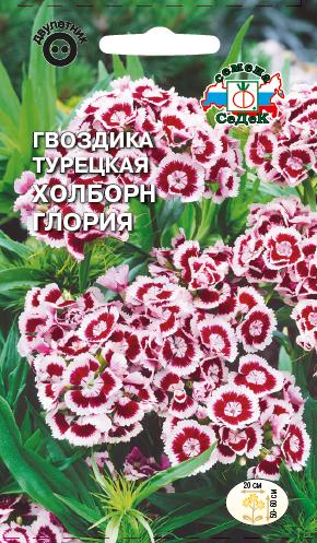 Семена цветов - Гвоздика Холборн Глория 0,5 г - 2 пакета