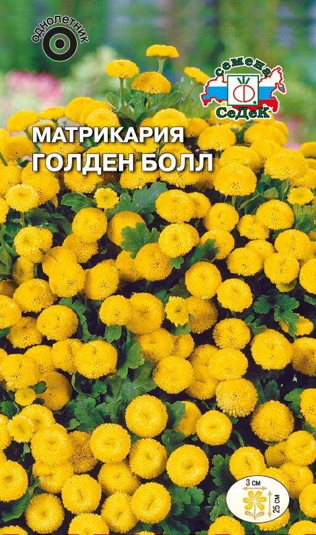 Семена цветов - Матрикария Голден Болл 0,1 г - 2 пакета