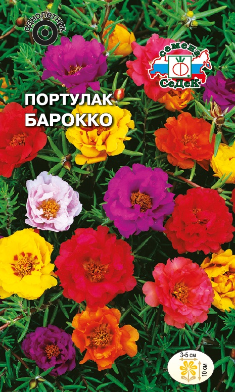 Семена цветов - Портулак Барокко 0,1 г - 2 пакета