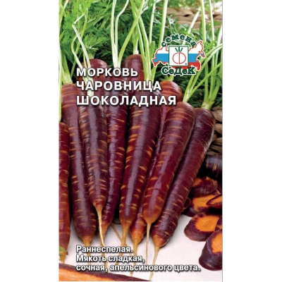 Семена - Морковь Чаровница Шоколадная 0,1 г - 2 пакета