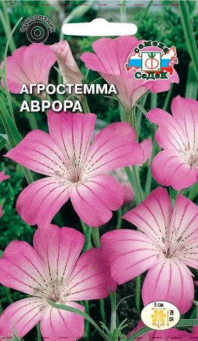 Семена цветов - Агростемма Аврор 0,1 г - 2 пакета