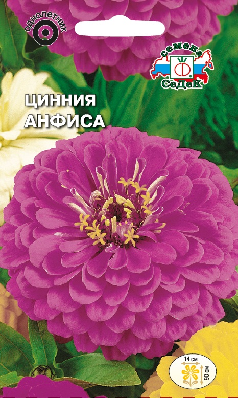 Семена цветов - Цинния Анфиса 0,5 г - 2 пакета