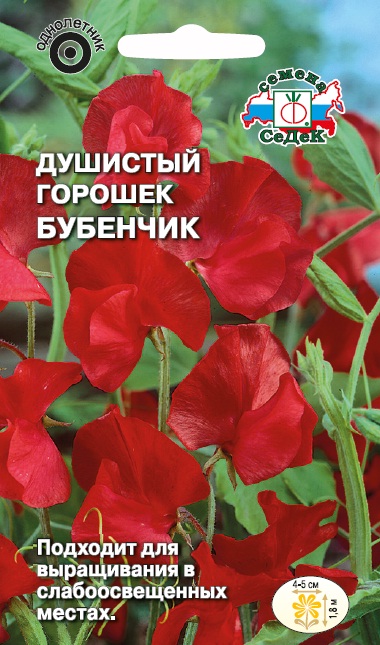 Семена цветов - Душистый Горошек Бубенчик 0,5 г - 2 пакета
