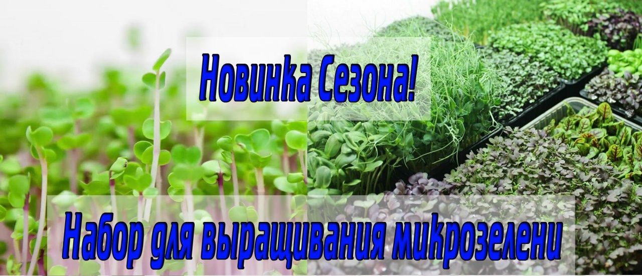 Набор для выращивания микрозелени 4 урожая