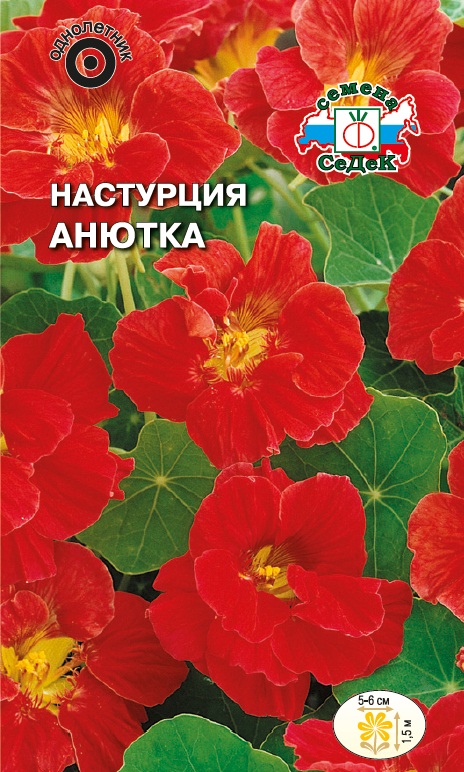 Семена цветов - Настурция Анютка  1 г - 2 пакета
