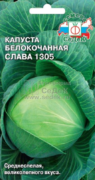 Семена - Капуста Слава 1305 Белокачанная 0,5 г - 2 пакета