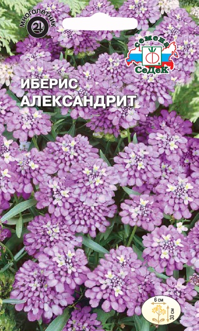 Семена цветов - Иберис Александрит 0,1 г - 2 пакета