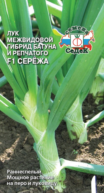 Семена - Лук Сережа F1 0,3 г - 2 пакета