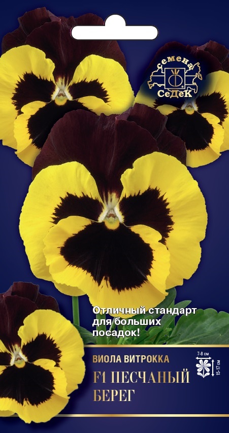 Семена цветов - Виола Песчаный Берег F1 5 шт - 2 пакета