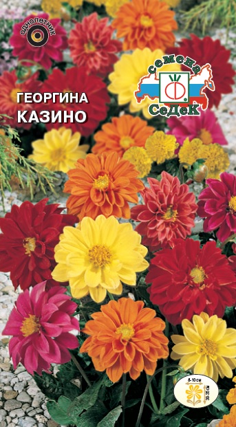 Семена цветов - Георгина Казино 0,2 г - 2 пакета