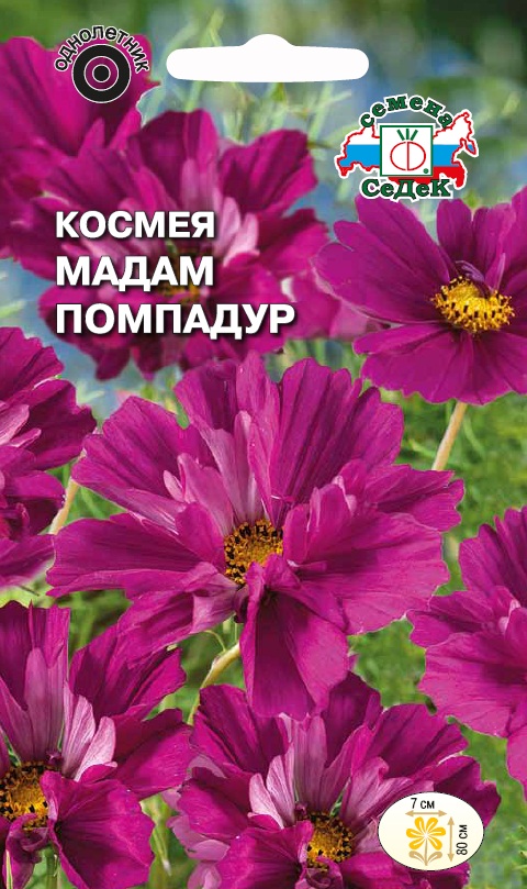 Семена цветов - Космея Мадам Помпадур 0,04 г - 2 пакета