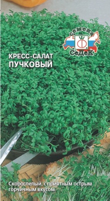 Семена - Салат Пучковый (Кресс) 1 г - 2 пакета