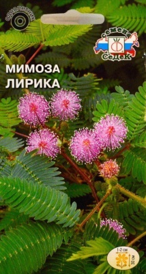 Семена цветов - Мимоза Лирика 0,1 г - 2 пакета