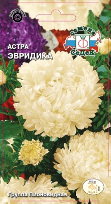 Семена цветов - Астра Эвридика 0,2 г - 2 пакета