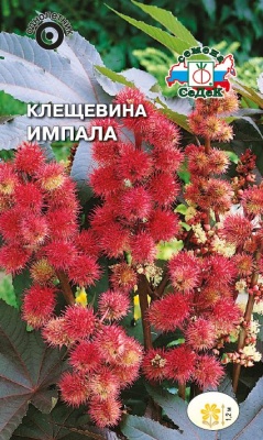 Семена цветов - Клещевина Импала 2 г - 2 пакета